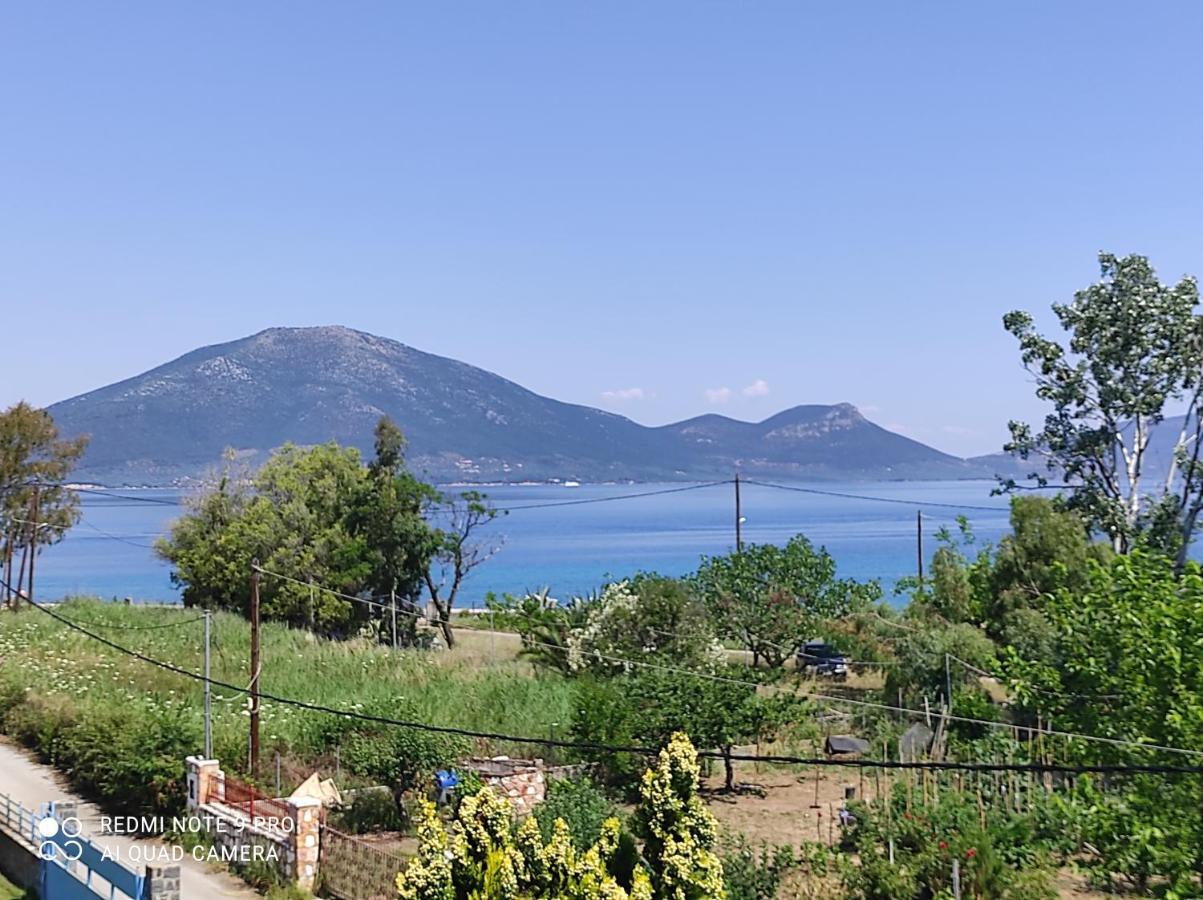 Agiokampos Luxurious Resort Loutra Edipsou (Evia) Exterior photo